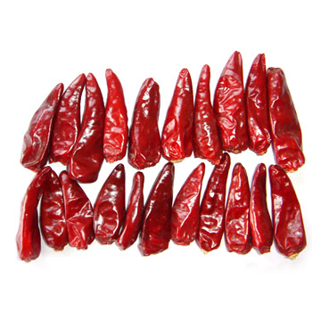 Chaotian Chili (Warhead) (Chaotian Chili (Warhead))