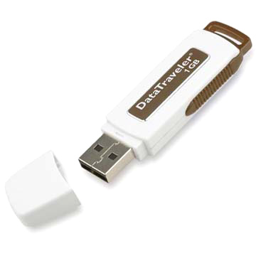 Kingston DataTraveler USB-Flash-Laufwerk (Kingston DataTraveler USB-Flash-Laufwerk)