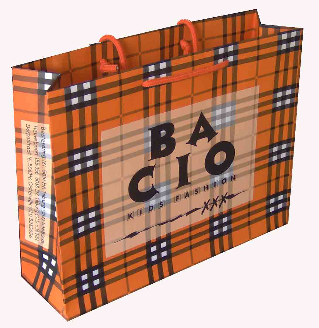  Art Paper Shopping Bag (Papier Art Shopping Bag)