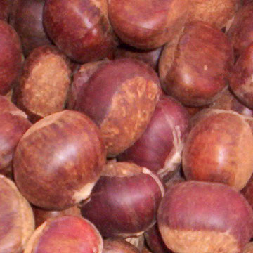  Fresh Chestnut ( Fresh Chestnut)