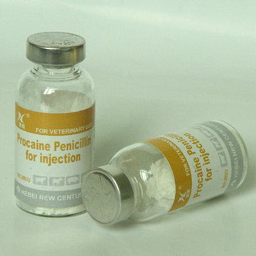  Procaine Penicillin for Injection (Прокаин пенициллин для инъекций)