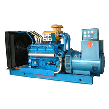 Diesel Generator Set (Diesel Generator Set)