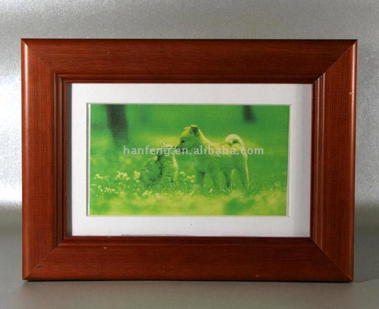 Digital Photo Frame (Digital Photo Frame)