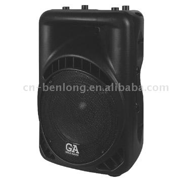 Active Speaker (Active Speaker)