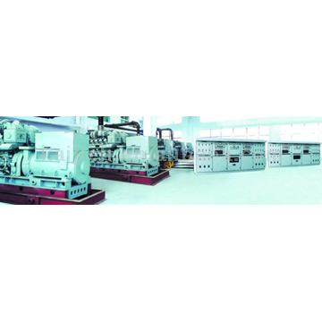  Diesel Generating Set (Diesel Generating Set)