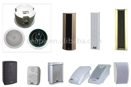 Ceiling Speaker (Ceiling Speaker)