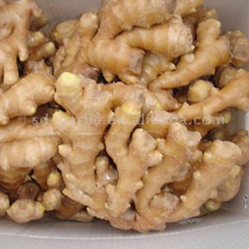  Dry Ginger (Сухая Имбирь)