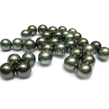  Tahitian Black Loose Pearls ( Tahitian Black Loose Pearls)