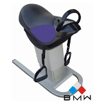  Horse Riding Machine (Reiten Machine)