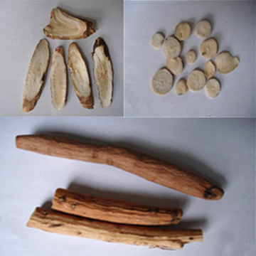 Radix PaeoniaeAlba (White Peony Root) (Radix PaeoniaeAlba (White Peony Root))