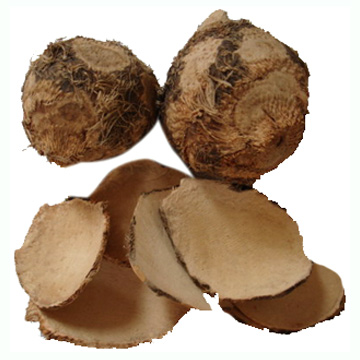 Rhizoma Sparganii (Rhizoma Sparganii)