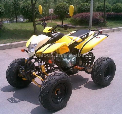  110cc - 200cc ATV (EEC) (110cc - 200cc ATV (EWG))