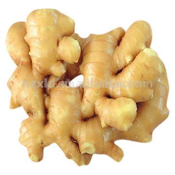  Fresh Ginger (Свежий имбирь)