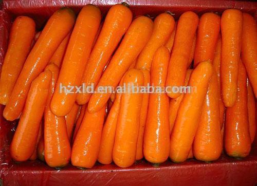  Fresh Carrot (Frische Karotten)