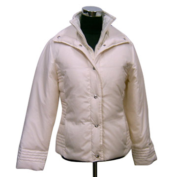  Women`s Coat ( Women`s Coat)