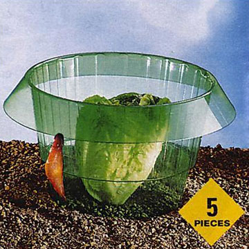 Plant Protector (Plant Protector)