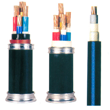  Electric Cable (Câble électrique)