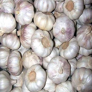  Normal White Fresh Garlic (10kg Bulk) (Normal Weiß Frischer Knoblauch (10kg Bulk))