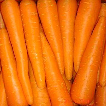  Fresh Carrots