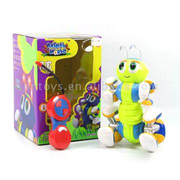  R/C Ant ( R/C Ant)