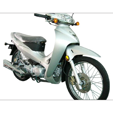  Motorcycle (EEC, EPA and DOT) (Moto (CEE, l`EPA et le DOT))