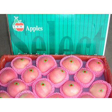  Class 1 Fuji Apple ( Class 1 Fuji Apple)