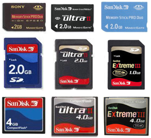  SD Card (SD Card)