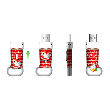 USB Flash Disk (USB Flash Disk)