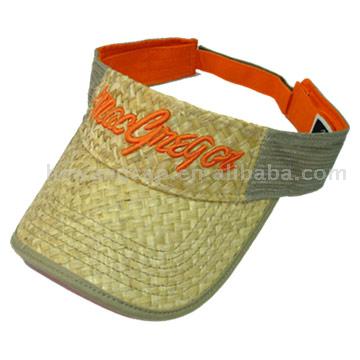  Sun Visor (Солнцезащитный козырек)