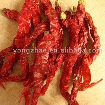  Xian Chilli ( Xian Chilli)