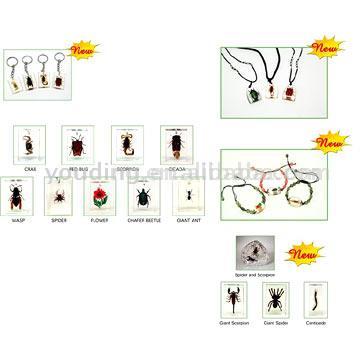  Insect World Jewelry (Мир насекомых украшения)