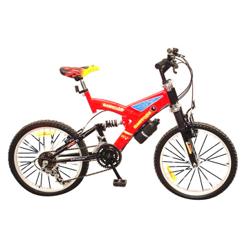  20" Dual-Suspension Mountain Bicycle (20 "Dual-Suspension Mountain Bicycle)