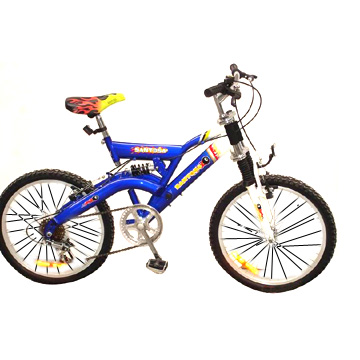  20" Dual-Suspension Mountain Bicycle (20 "Dual-Suspension Mountain Bicycle)