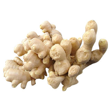  Fresh Ginger (Gingembre frais)