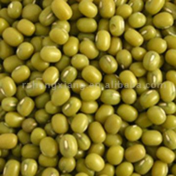  Green Mung Beans (Grüne Mungbohnen)