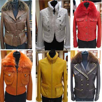  Ladies` Leather Jacket ( Ladies` Leather Jacket)