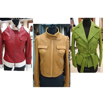  Leather Garment ( Leather Garment)