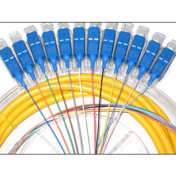  12 Cores SC FO Pigtail ( 12 Cores SC FO Pigtail)