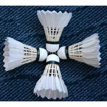 Badminton (Badminton)