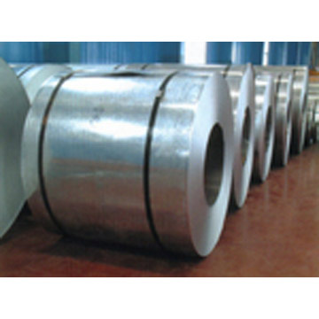  Hot Dipped Galvanized Steel Coil (Galvanisé à chaud des bobines en acier)