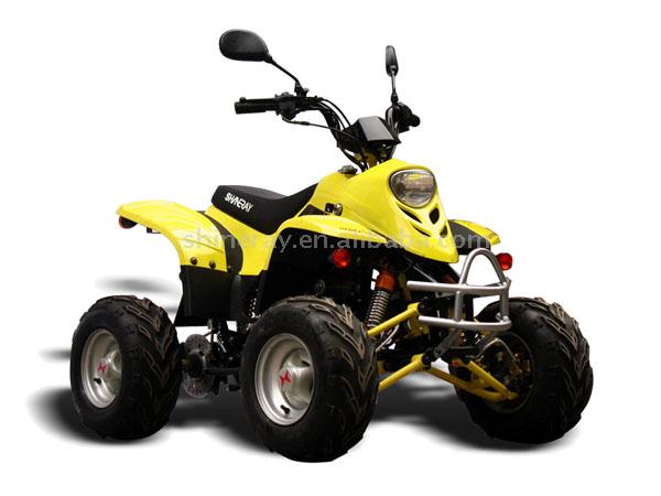 50cc ATV mit EWG-Genehmigung (50cc ATV mit EWG-Genehmigung)