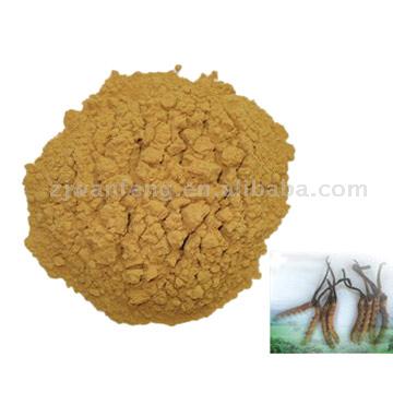  Cordyceps Polysaccharide Powder (Полисахариды кордицепса порошковые)