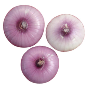  Onion (Лук)