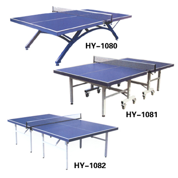  Table Tennis Table (Table Tennis Table)