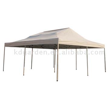  6 x 6 Big Tent (6 x 6 Big Tent)