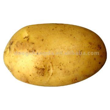  Potato (Картофель)