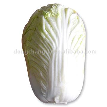  Chinese Cabbage (Chinakohl)