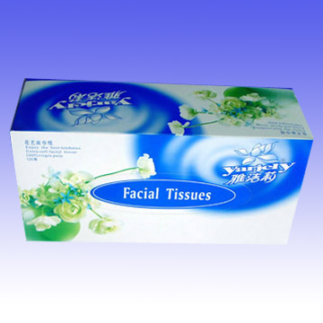 Facial Tissue (Mouchoirs)