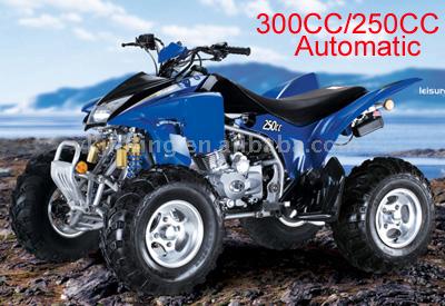  250CC, 300CC Sport ATV (250cc, 300cc Спорт ATV)