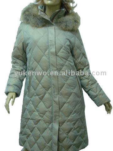  Ladies` Down Coat ( Ladies` Down Coat)